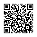 To view this 2012 Lincoln Navigator Mahopac NY from GoGetCar.com, please scan this QR code with your smartphone or tablet to view the mobile version of this page.
